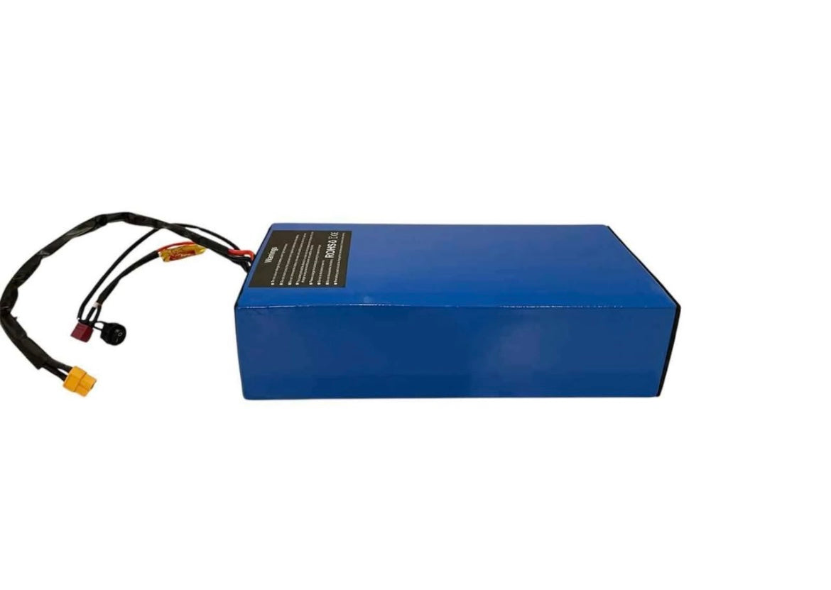 48v 18ah Bare Battery